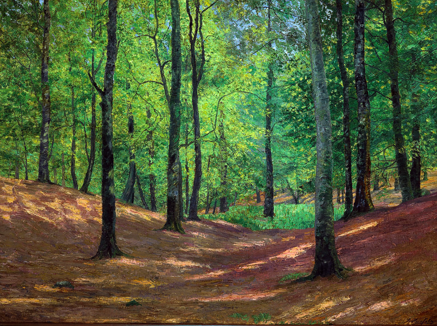 ah_0000_Lindenbruch2_kms