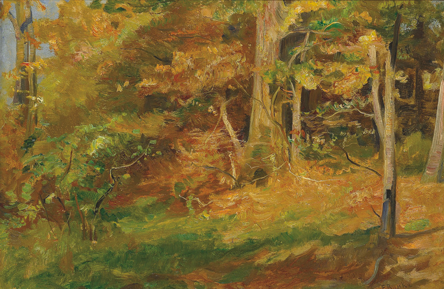 fb_0000_Abend_im_Walde_kms