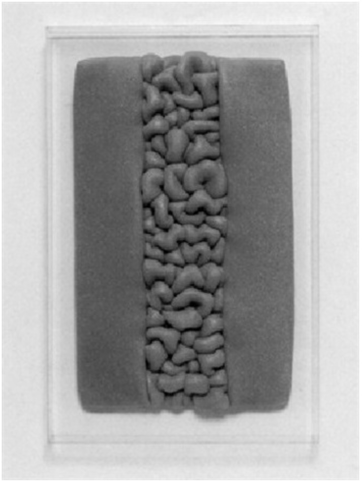 hsa_1968_Ohne_Titel_Foam_Rubber_85x50_war