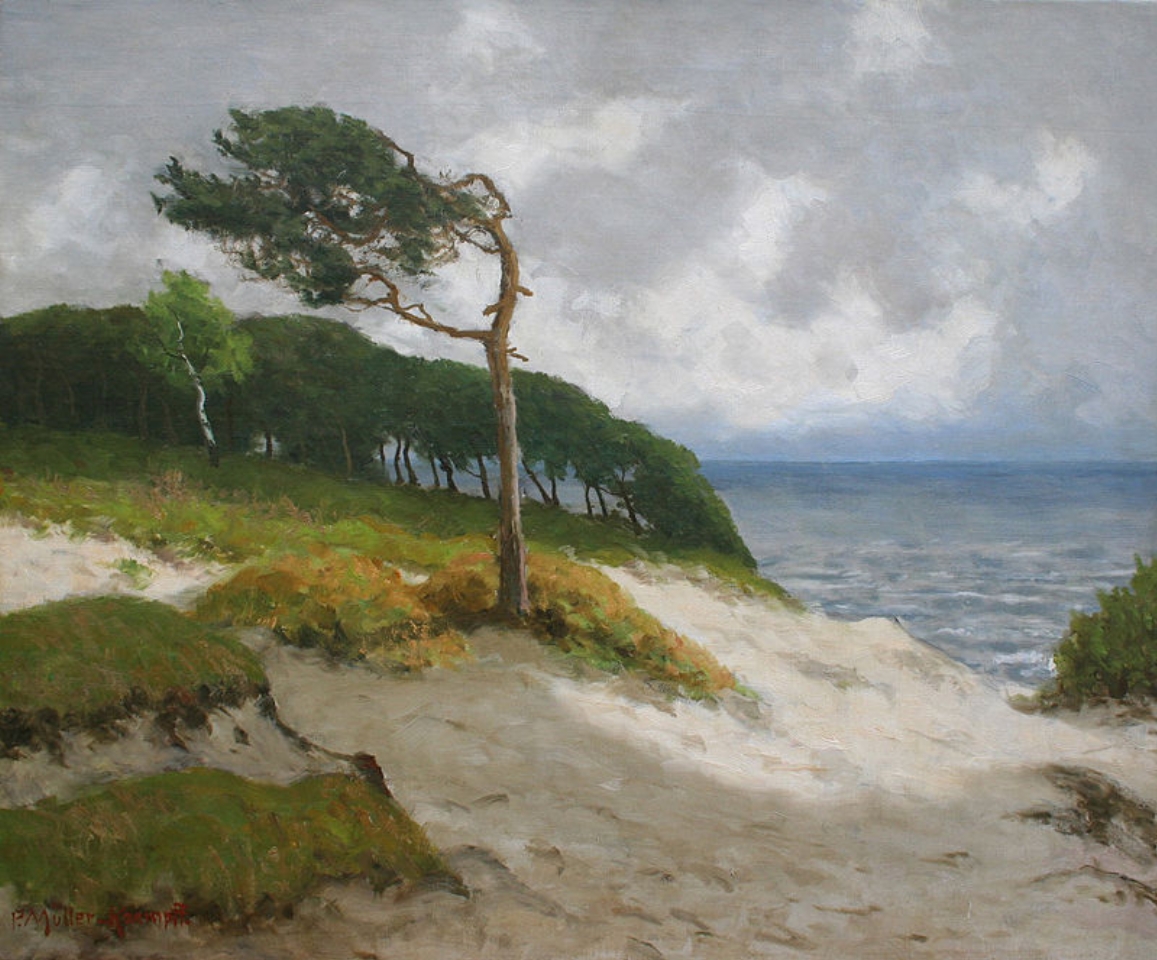 pmk_0000_Stuermische_Ostseekueste_bei_Ahrenshoop