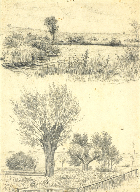 ppd_0000_Weiden_und_Teich_kms