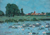 rba_0000_Schwaan_im_Sommer_kms