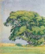 fw_0000_Boddenlandschaft_Aquarell_und_Pastell_40,5x33,5cm