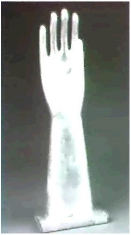 hsa_1965_Hand_Sculpture_43,2_war