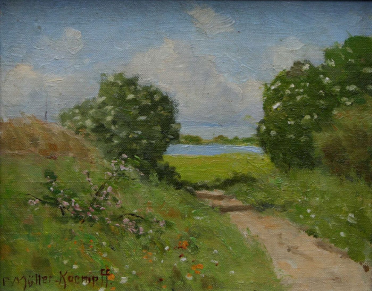 pmk_0000_Holunderbuesche_am_Boddenweg